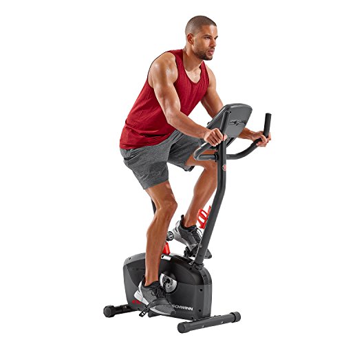 Schwinn Upright Series Bike – A10 model