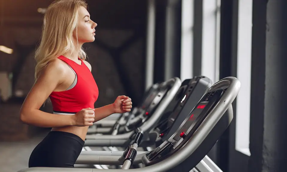 best treadmills for home gym